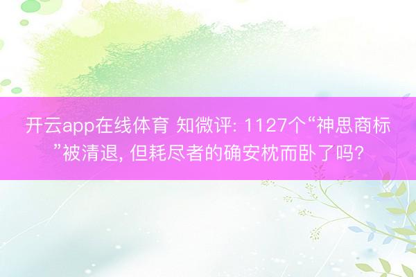 开云app在线体育 知微评: 1127个“神思商标”被清退, 但耗尽者的确安枕而卧了吗?